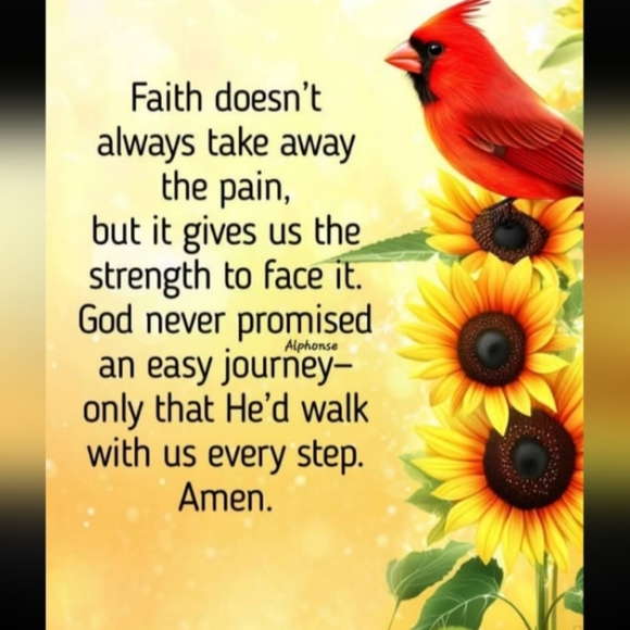 โ๏ธ Columbia GIZZMO JACKET BLACK & GREY UNISEX Sz Lg VNPLVC - Picture 8 of 16